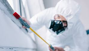 Best Pest Prevention Services  in Greybull, WY